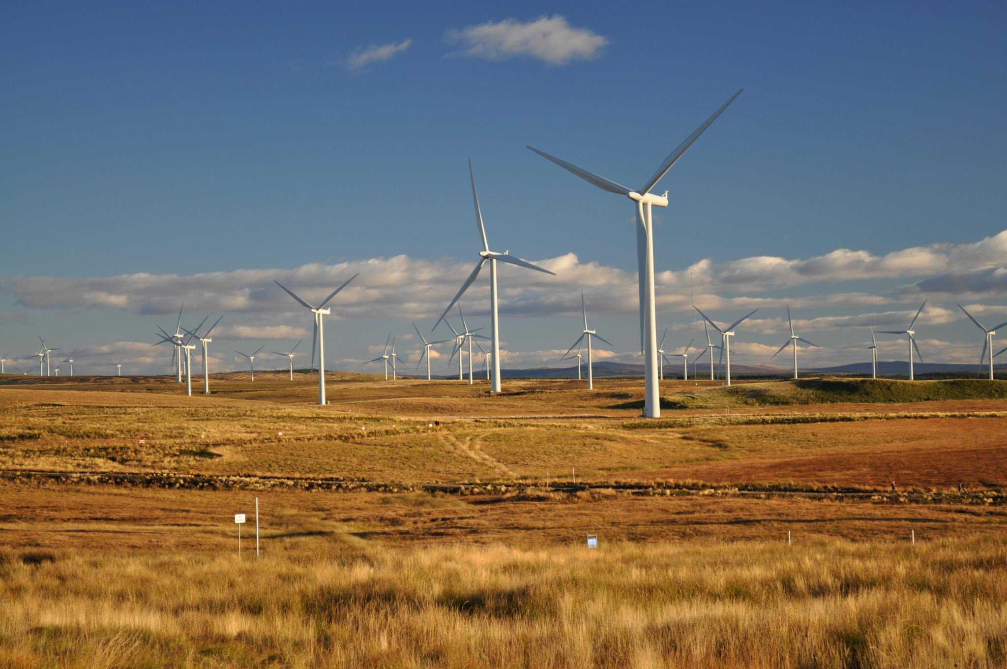 Photograph of White Windmills Under a Blue Sky